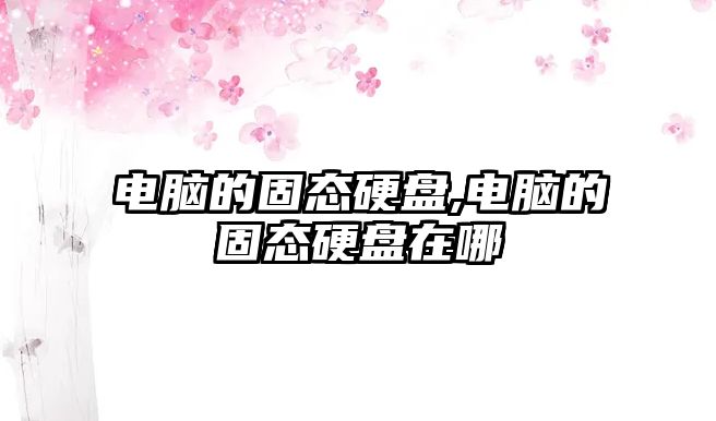 電腦的固態(tài)硬盤,電腦的固態(tài)硬盤在哪