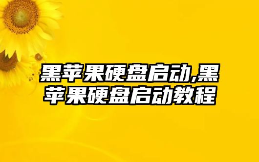 黑蘋(píng)果硬盤(pán)啟動(dòng),黑蘋(píng)果硬盤(pán)啟動(dòng)教程