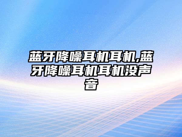 藍牙降噪耳機耳機,藍牙降噪耳機耳機沒聲音