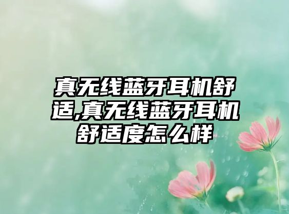 真無線藍牙耳機舒適,真無線藍牙耳機舒適度怎么樣
